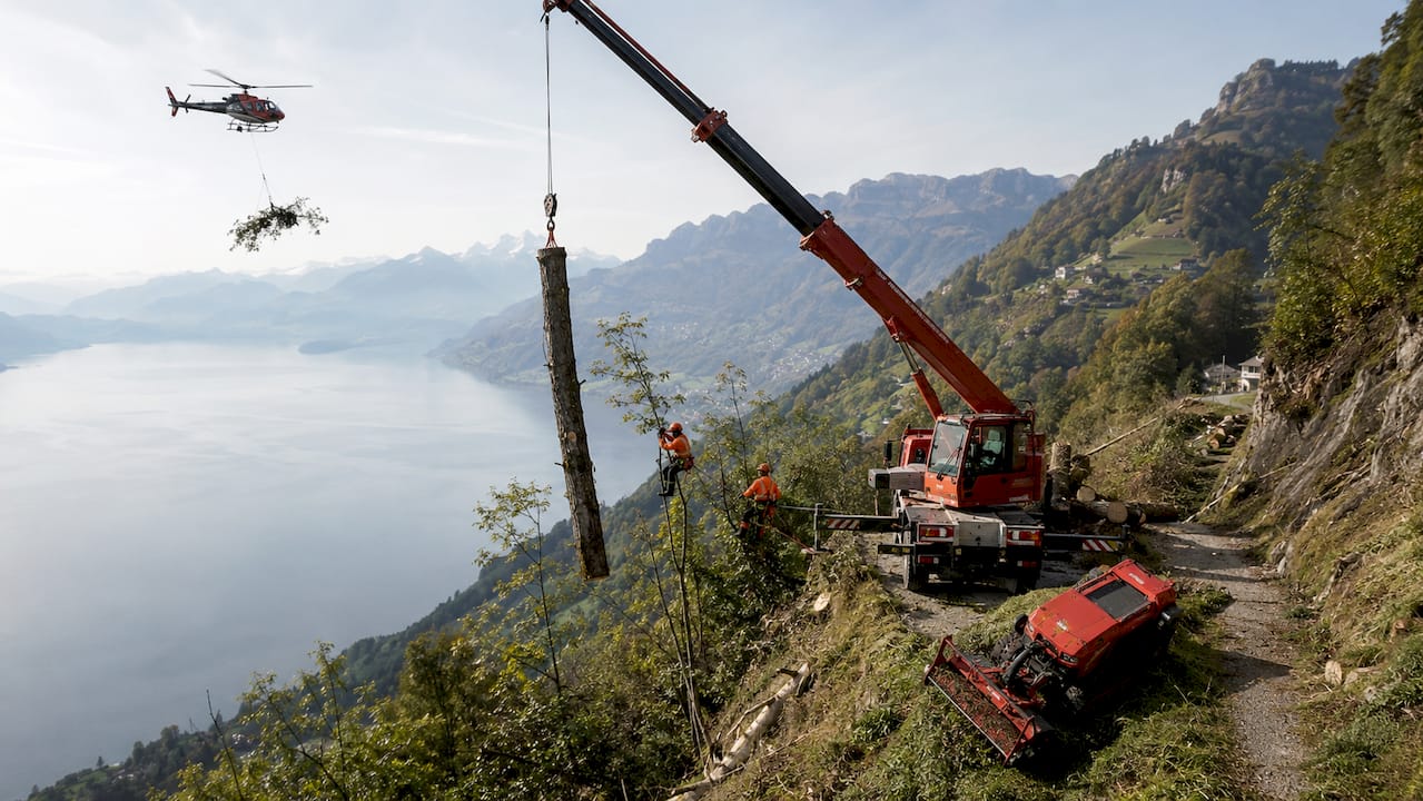 SPEZ-AG: Präzise Kranarbeiten am Zürichsee – innovative Einsätze mit Helikopter und Böschungsmäher
