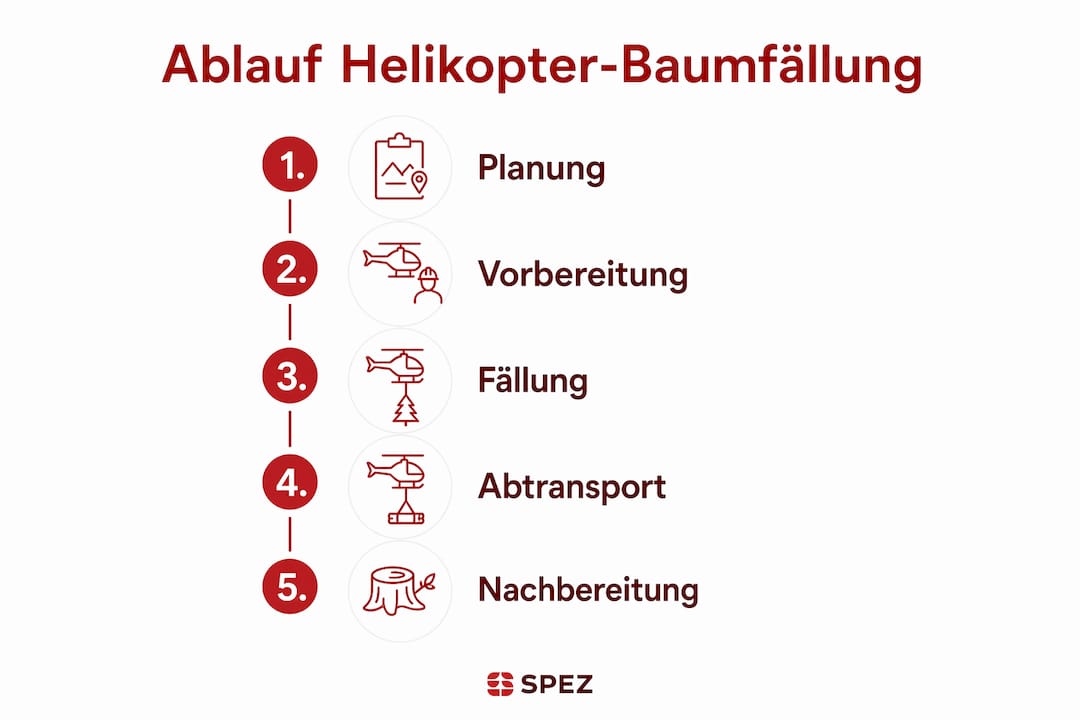 Infografik: So läuft eine Baumfällung mit dem Helikopter ab