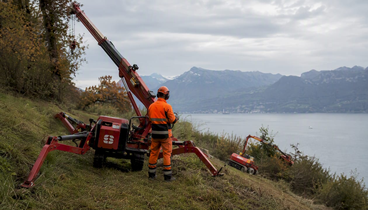 Mit einer Spinnenkran und einem Hangmäher wird das steile Ufer am See professionell bearbeitet.