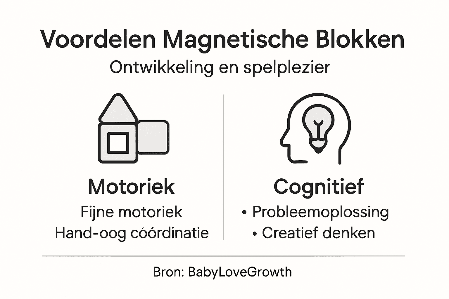 Infographic: waarom magnetische blokken zo goed zijn voor kinderen