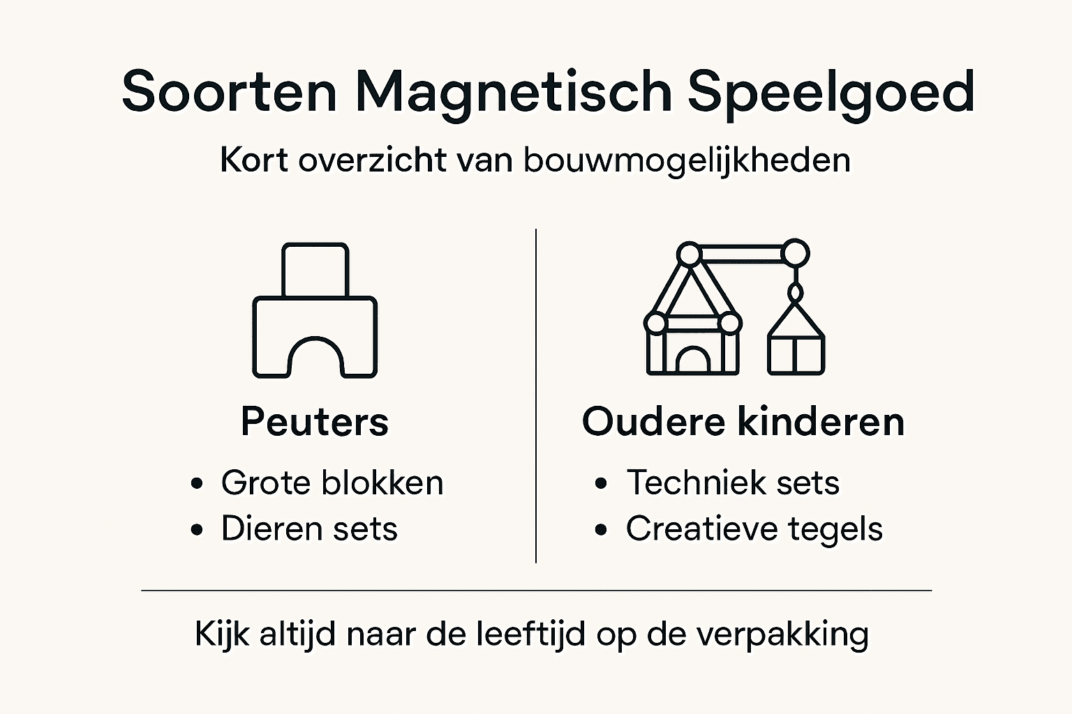 Infographic: een handig overzicht van verschillende soorten magnetisch speelgoed