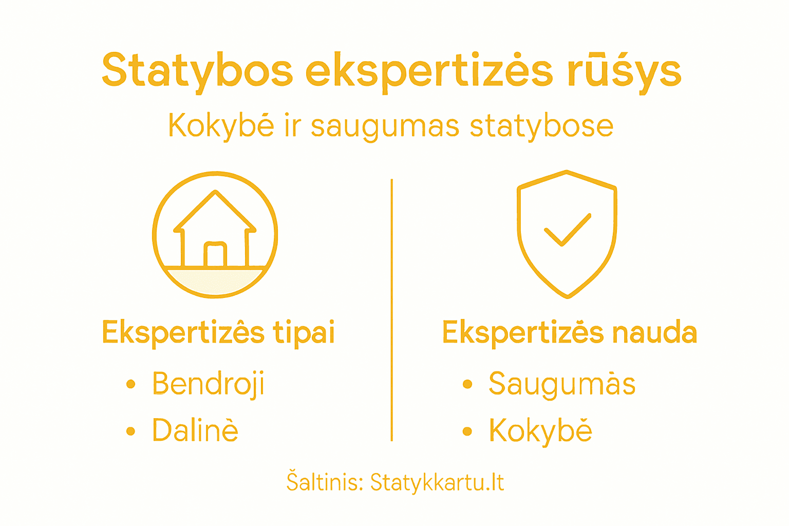Infografikas: kokios būna ekspertizės ir kuo jos naudingos