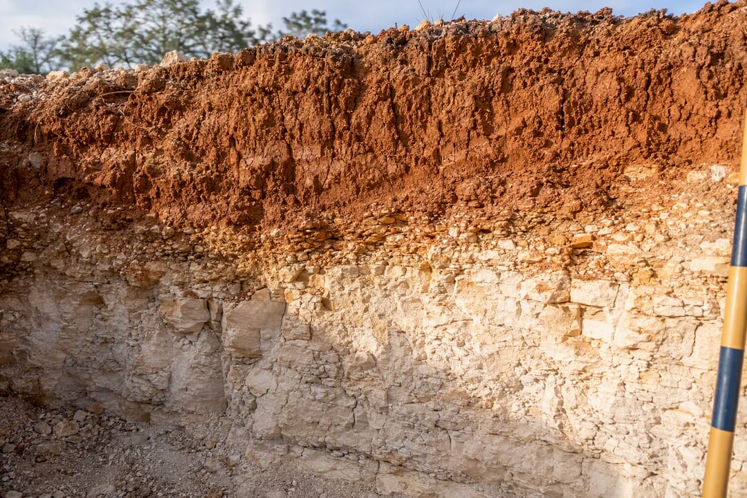 Clay and limestone layers in Austin soil