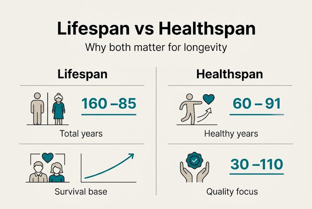 Infographic comparing lifespan and healthspan