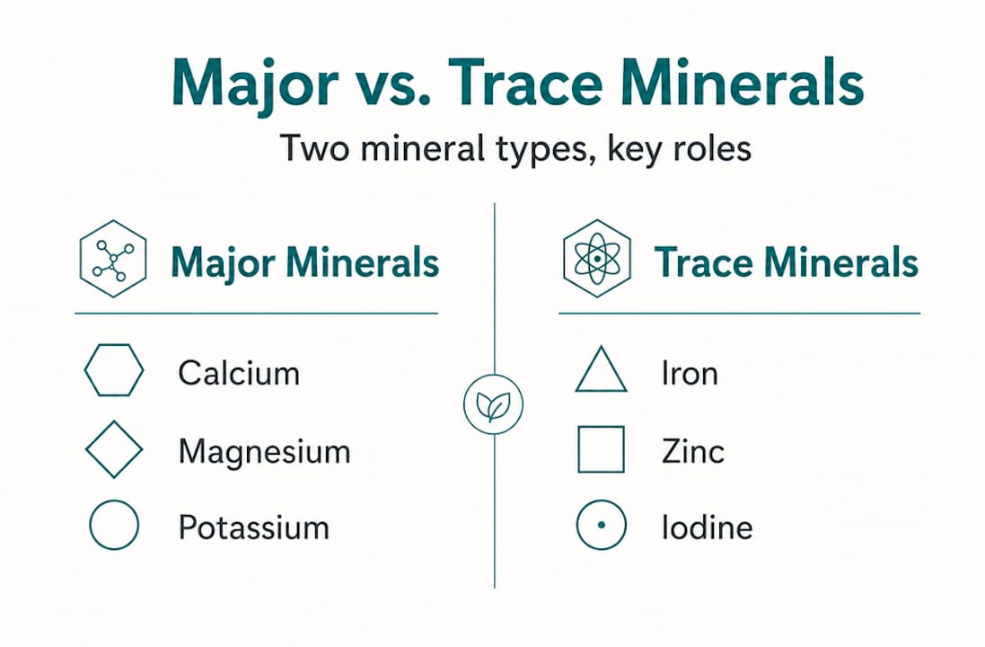 Infographic comparing major and trace dietary minerals