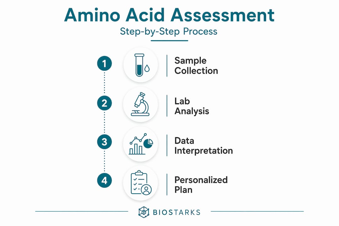 Infographic showing steps in amino acid assessment