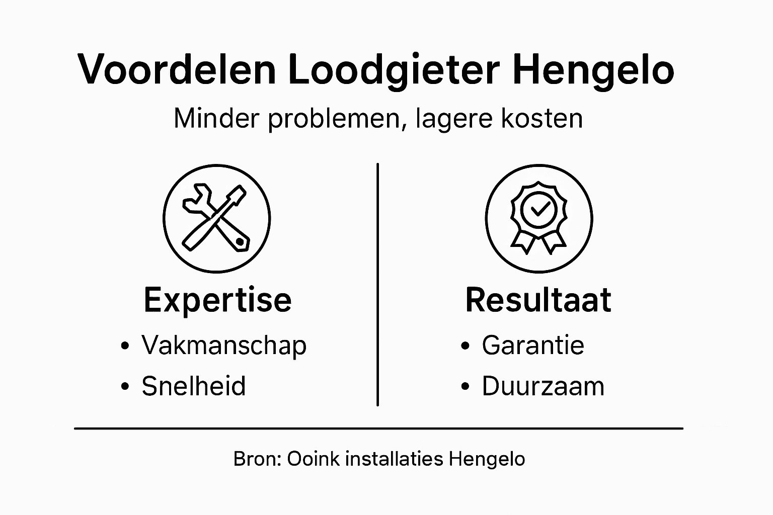 Infographic: De voordelen van een loodgieter uit Hengelo op een rij