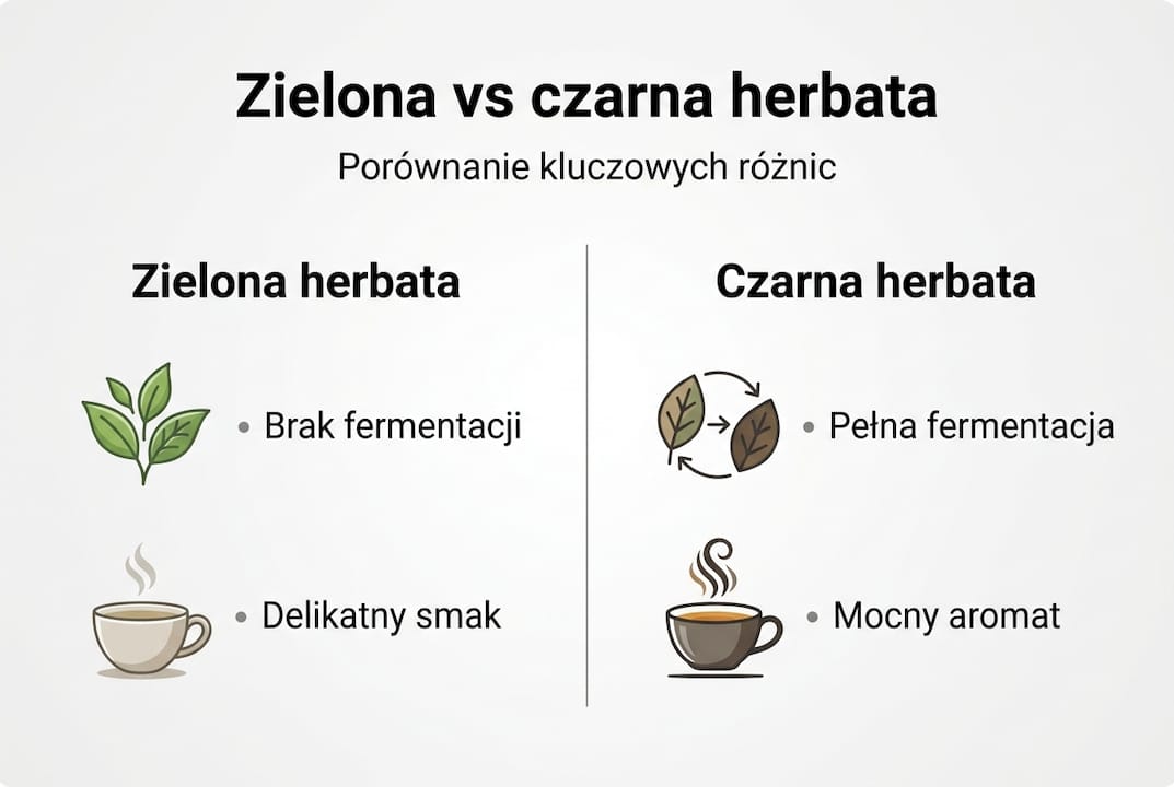 Infografika: czym różni się herbata zielona od czarnej?