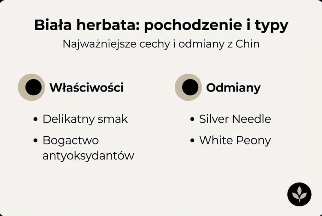 Infografika prezentująca najważniejsze cechy i popularne rodzaje białej herbaty