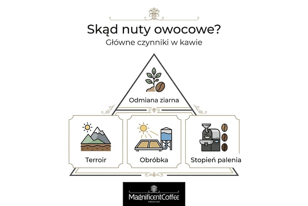 Najważniejsze czynniki kształtujące owocowe aromaty