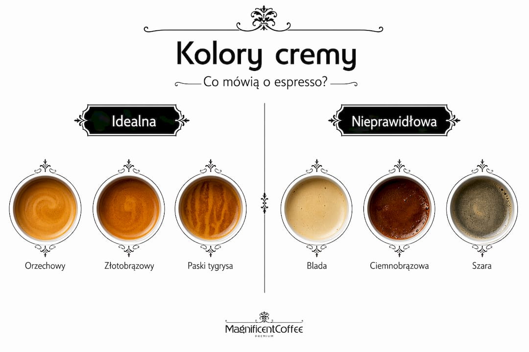 Grafika pokazująca różnice w odcieniach cremy na espresso
