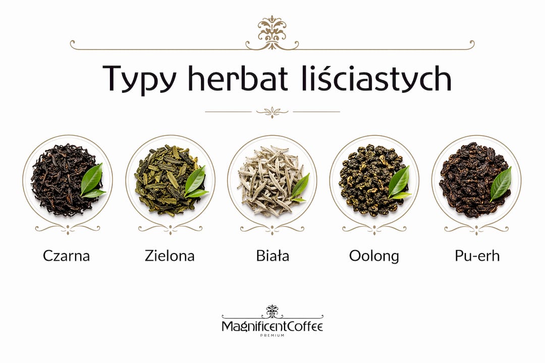 Grafika przedstawiająca klasyfikację różnych rodzajów herbat liściastych oraz ich wzajemne powiązania.