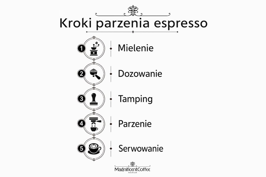 Infografika pokazująca, jak krok po kroku przygotować espresso i zamienić je w idealne cappuccino