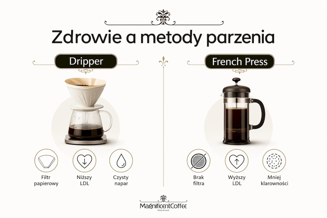 Infografika przedstawiająca porównanie wpływu kawy z drippera i French pressa na zdrowie