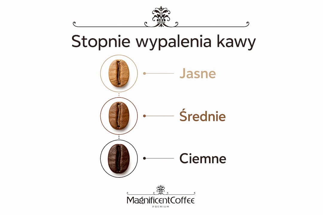 Grafika pokazująca różne poziomy palenia kawy
