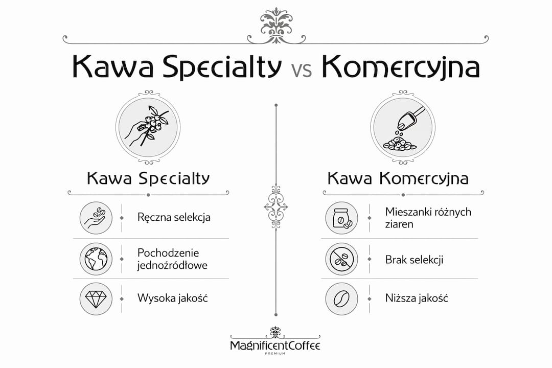 Infografika przedstawiająca różnice między kawą specialty a kawą przemysłową