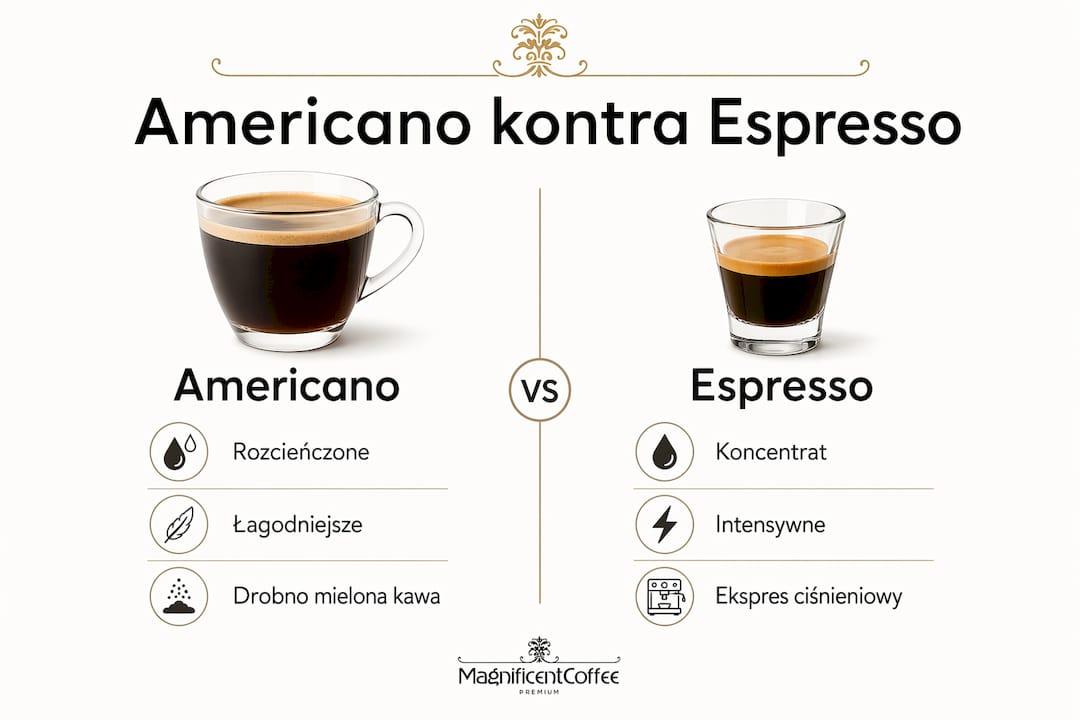 Grafika przedstawiająca różnice między kawą Americano a Espresso