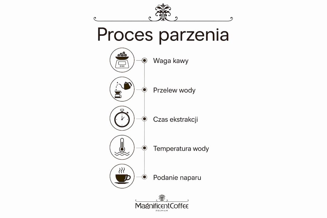 Przewodnik po parzeniu kawy filtrowanej – infografika krok po kroku