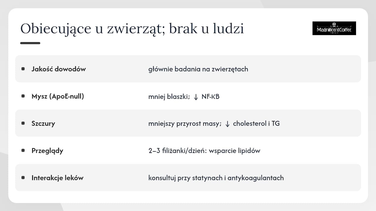 Co mówią badania o właściwościach zdrowotnych pu-erh? — overview diagram
