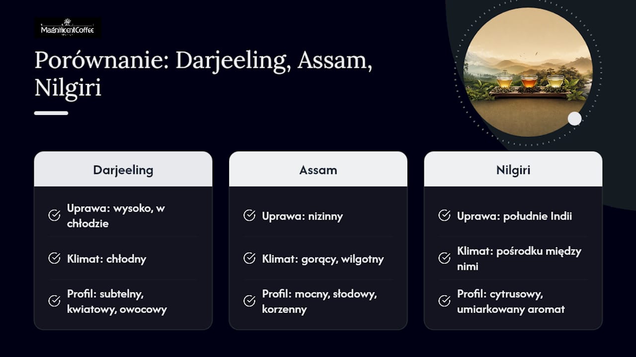 Porównanie indyjskich herbat: Darjeeling, Assam, Nilgiri