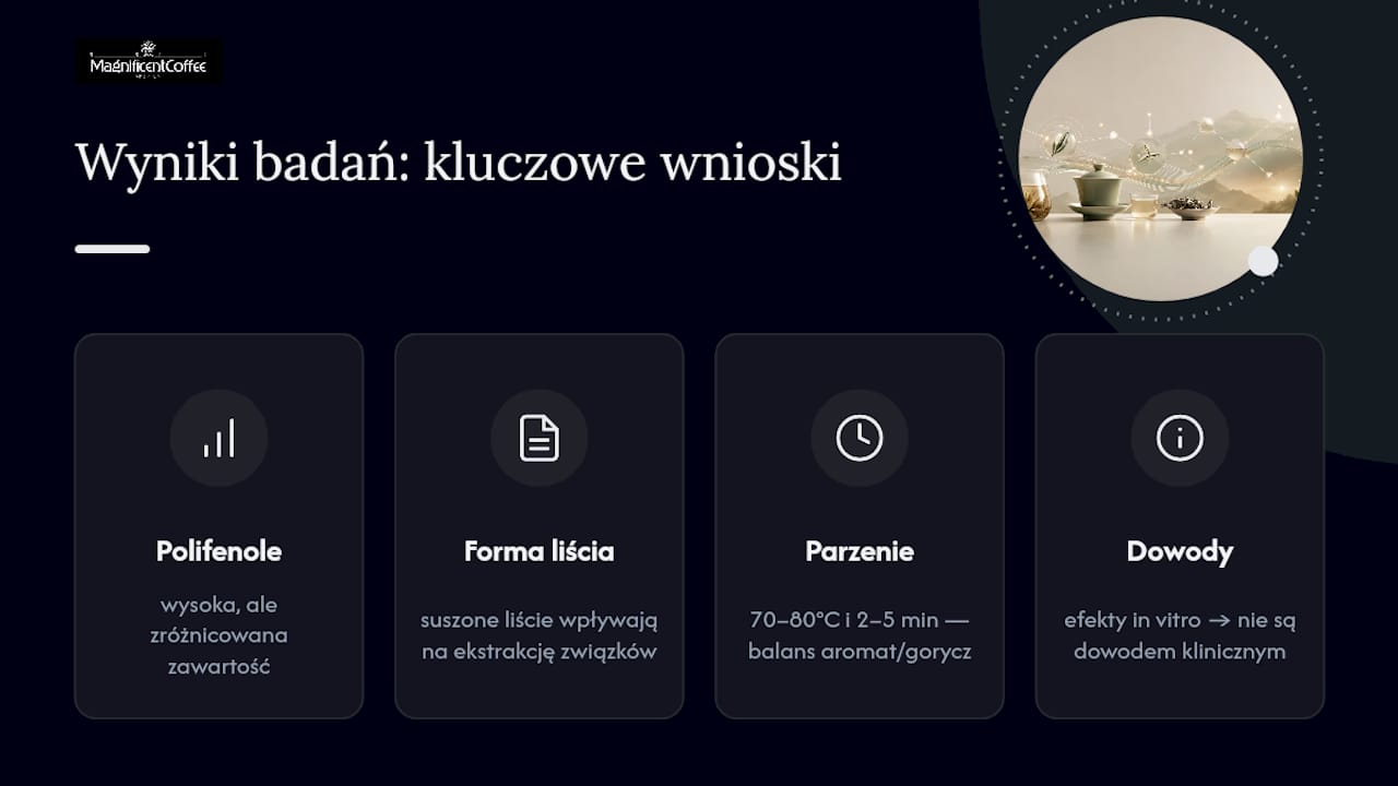 Infografika przedstawiająca właściwości i badania białej herbaty