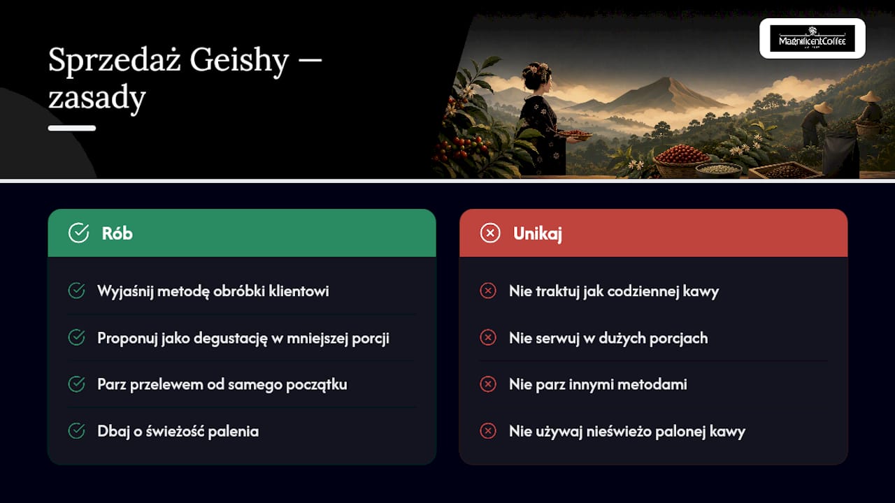 Nasze doświadczenie z Geishą w Magnificentcoffee — overview diagram