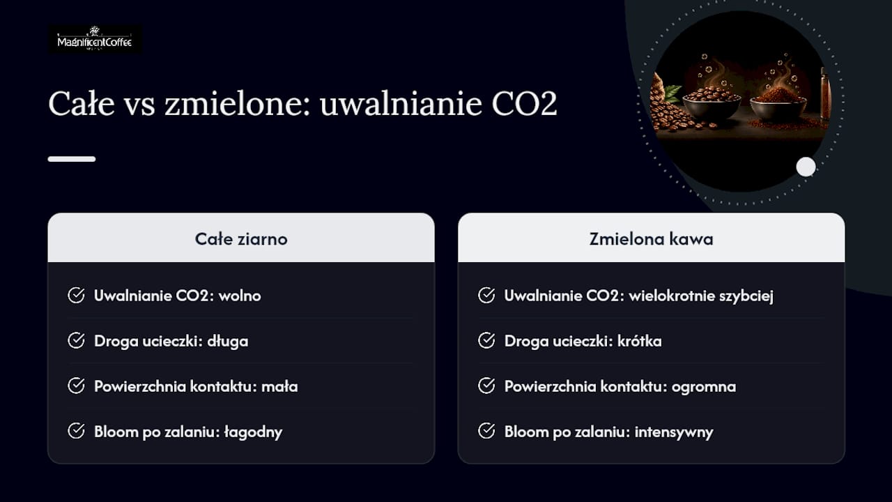 Czym jest odgazowanie kawy i dlaczego CO2 ma znaczenie w filiżance — overview diagram