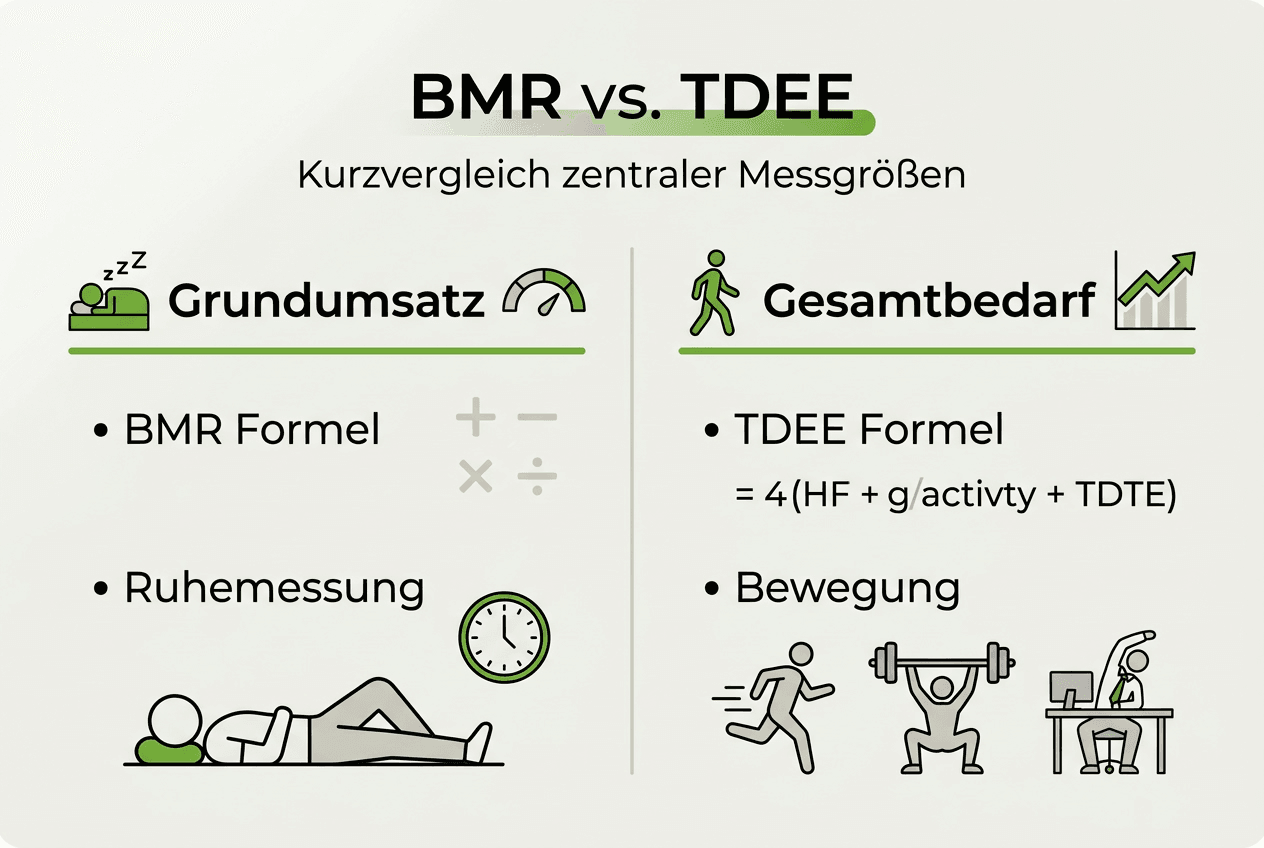 Vergleichsgrafik: grundumsatz (bmr) und gesamtenergieverbrauch (tdee) im überblick