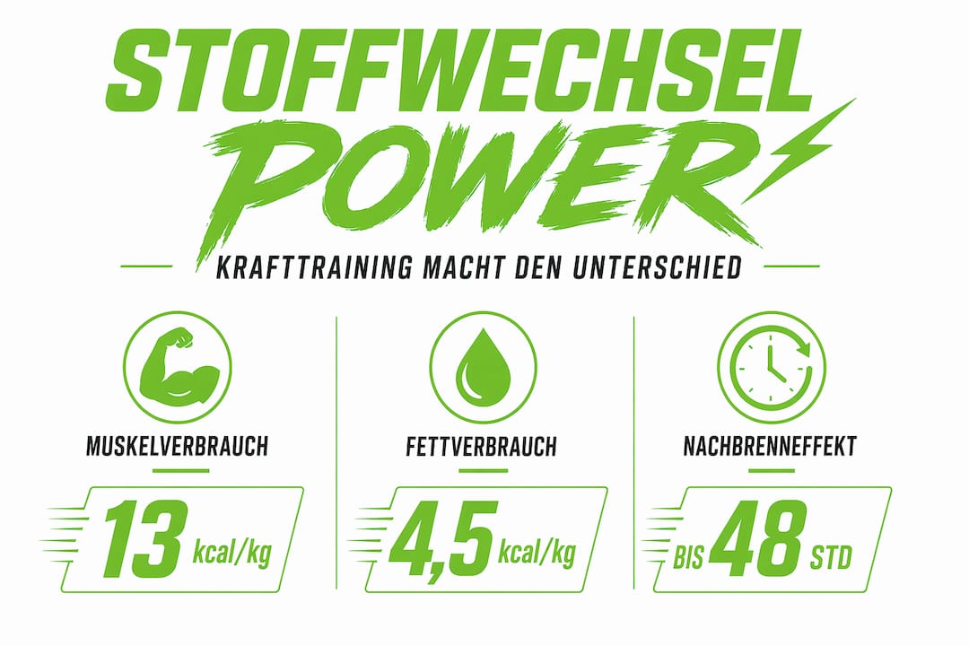 Warum Krafttraining Beim Abnehmen Hilft! 1 Infografik: wissenswertes zum stoffwechsel beim krafttraining