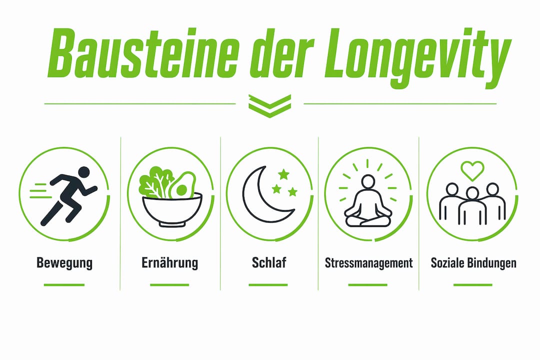 Übersichtsgrafik mit den zentralen säulen für ein langes und gesundes leben