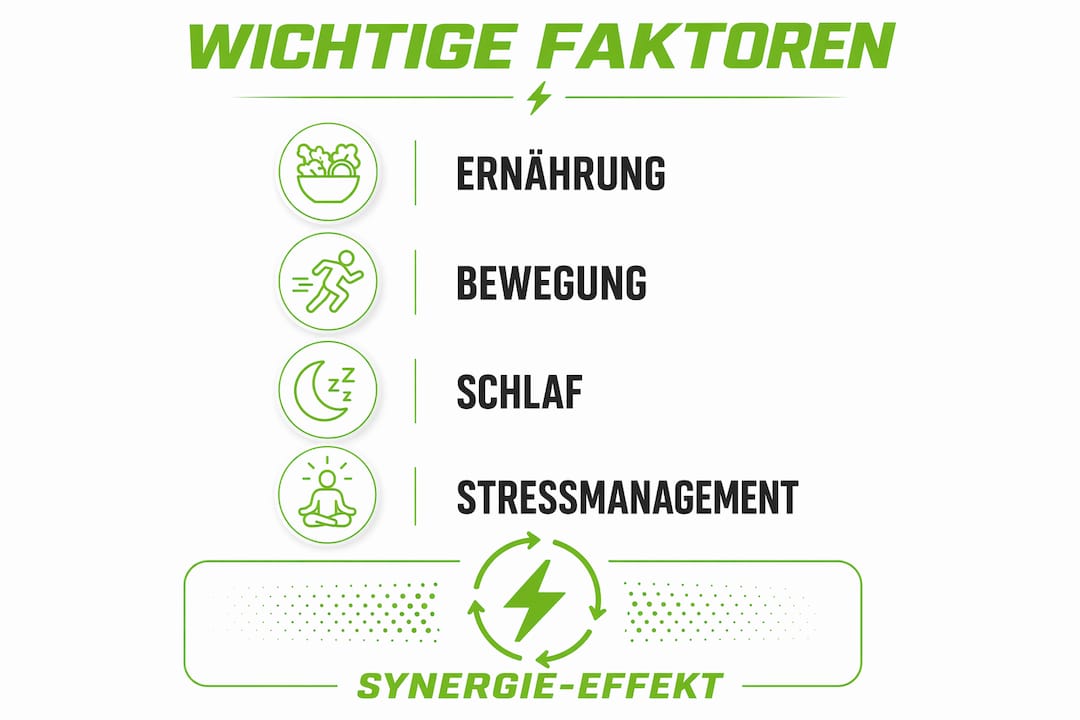 Grafik: die wichtigsten einflussfaktoren auf unser biologisches alter