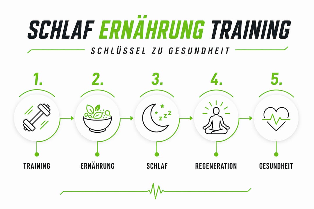 Die infografik veranschaulicht, wie eng schlaf, ernährung und training miteinander verknüpft sind und sich gegenseitig beeinflussen – und stellt diesen zusammenhang als fortlaufenden prozess dar.