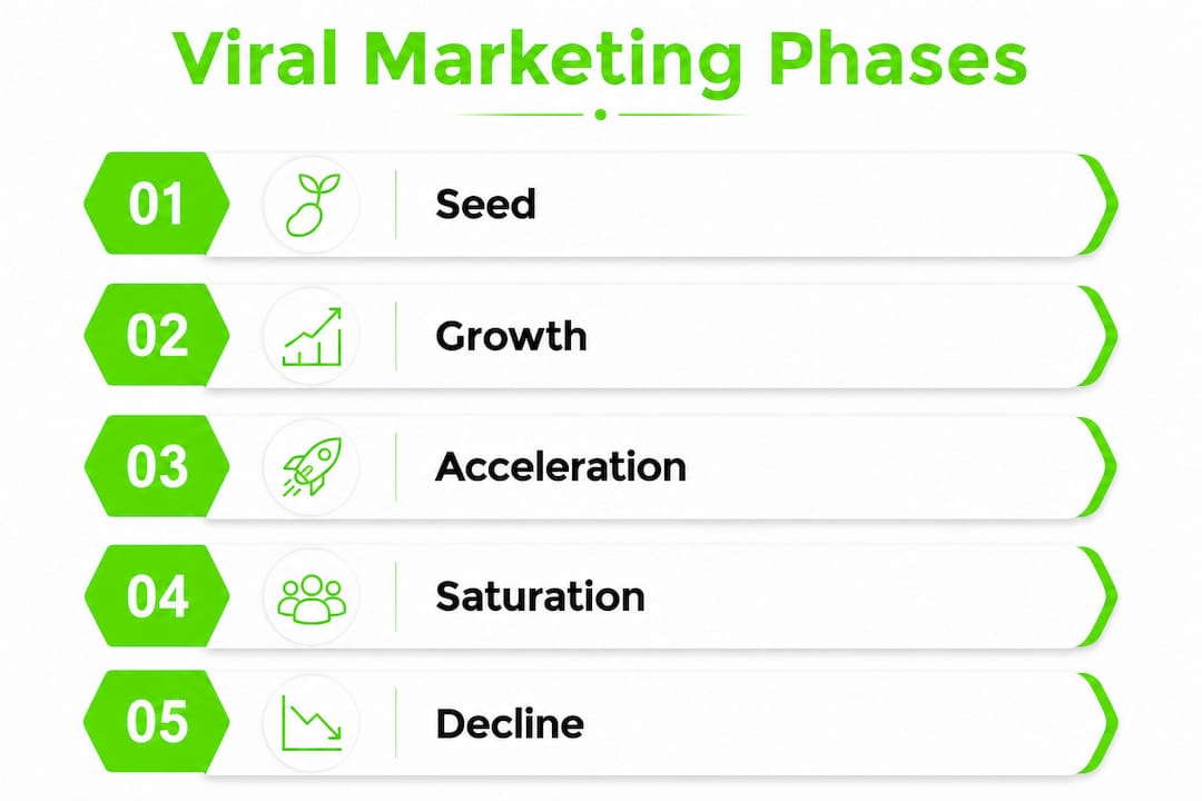 What Is Viral Marketing? Your 2026 Strategy Guide 2 Infographic illustrating viral marketing phases