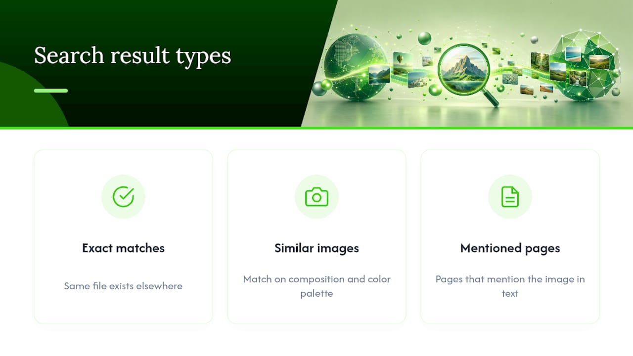 Diagram showing reverse image search result categories