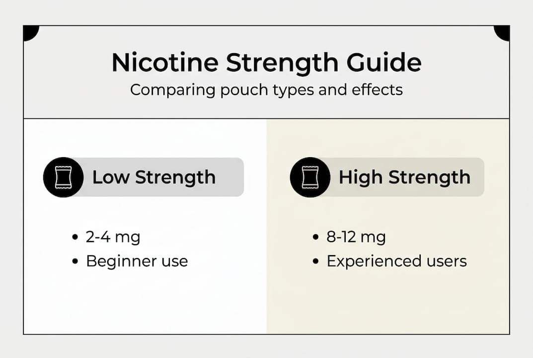 Infographic comparing nicotine pouch strengths