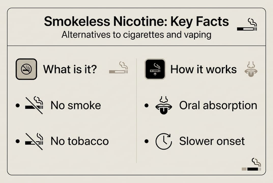 Infographic breakdown of smokeless nicotine basics
