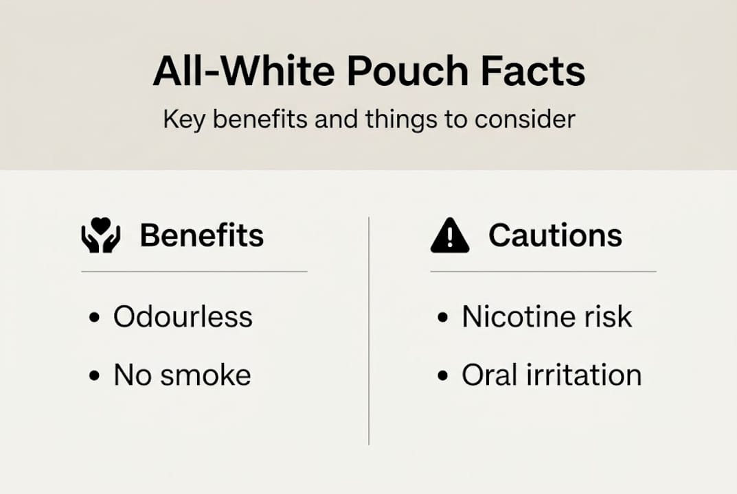 Infographic illustrating all-white pouch benefits and cautions