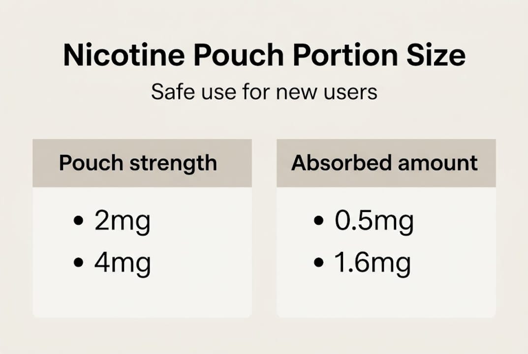 Infographic on pouch portion size basics