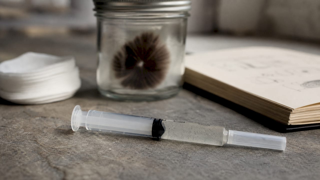 Close-up of spore syringe with dormant mushroom spores