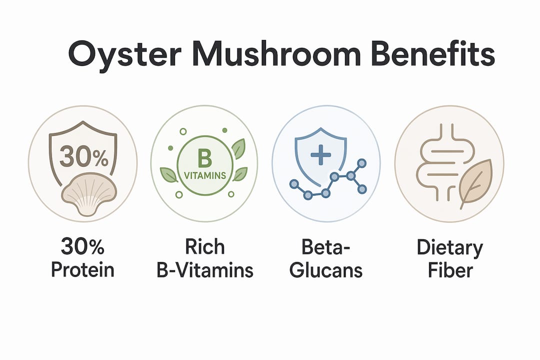Infographic showing key nutritional benefits of oyster mushrooms