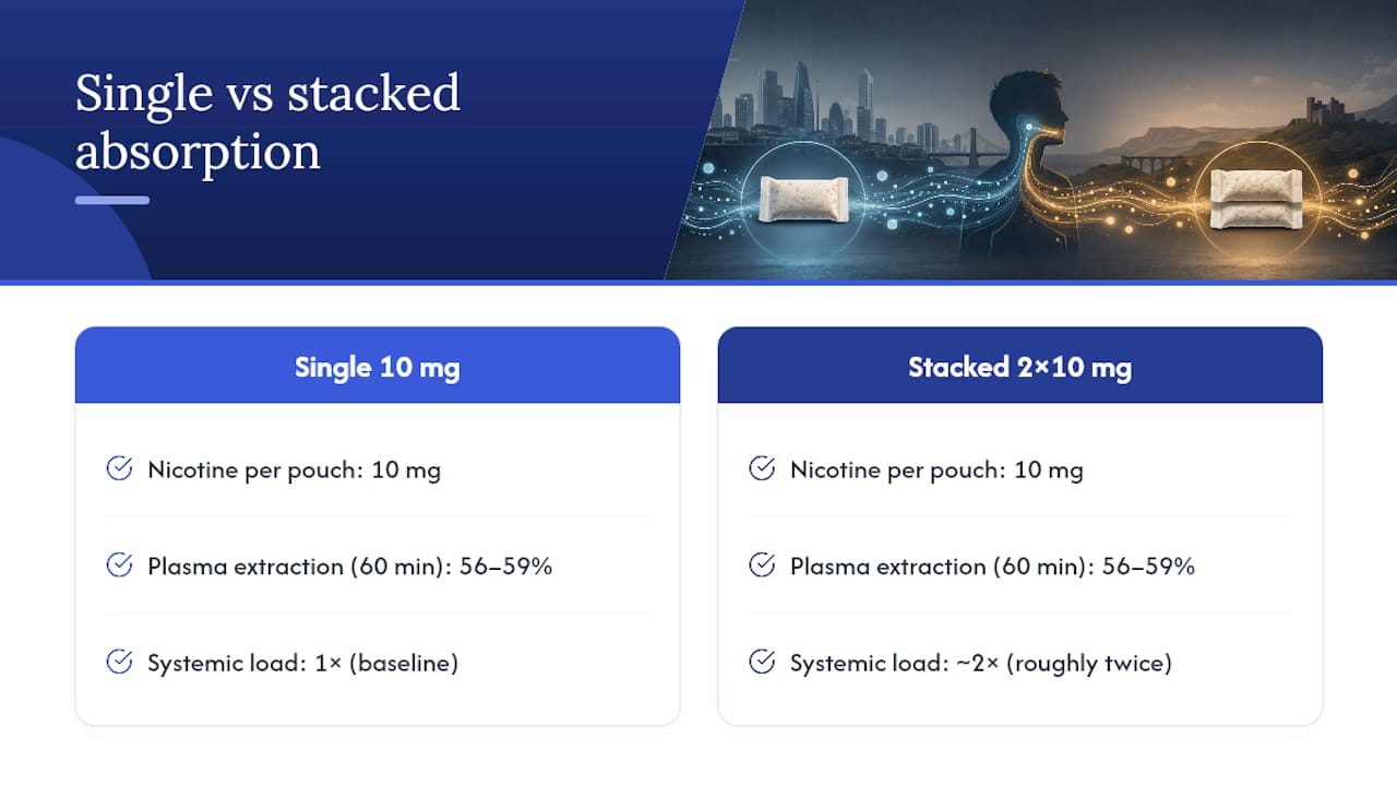 Diagram comparing nicotine absorption single vs double pouch