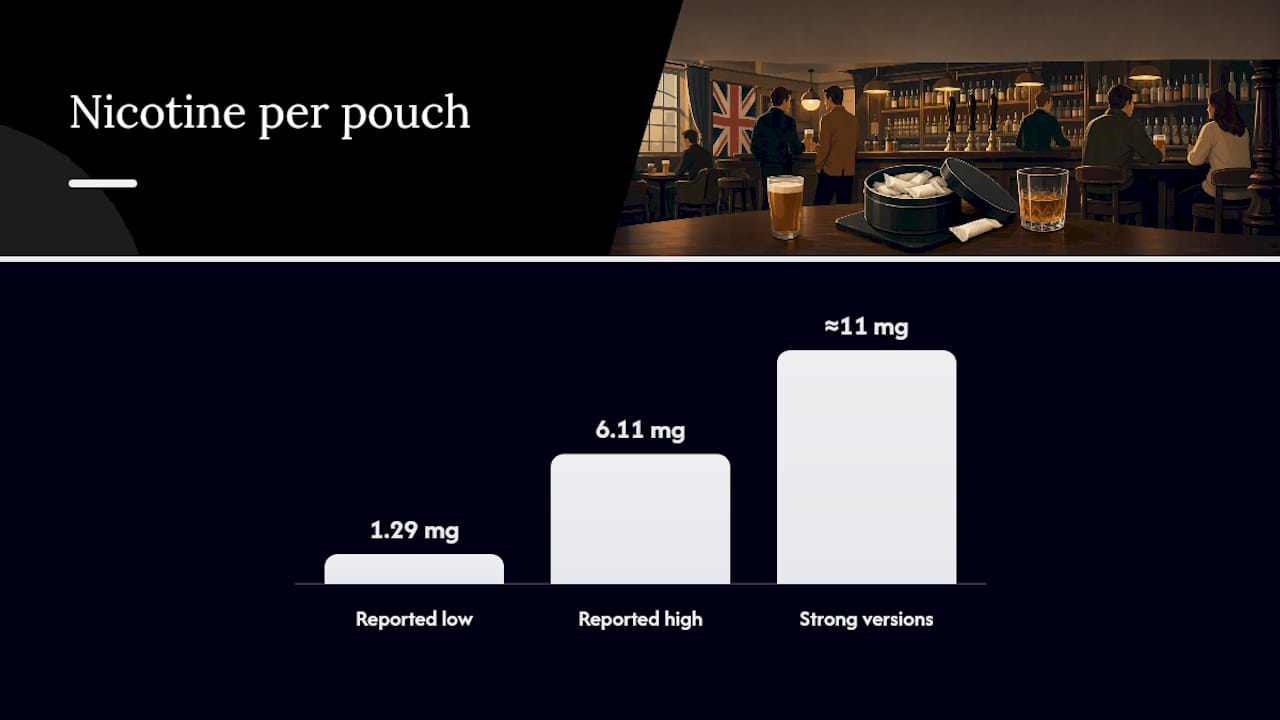 How nicotine pouches differ from snus, vapes, and cigarettes — overview diagram