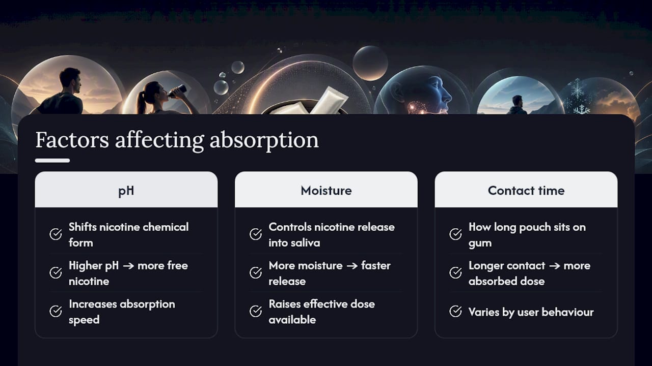 Diagram illustrating factors affecting nicotine absorption