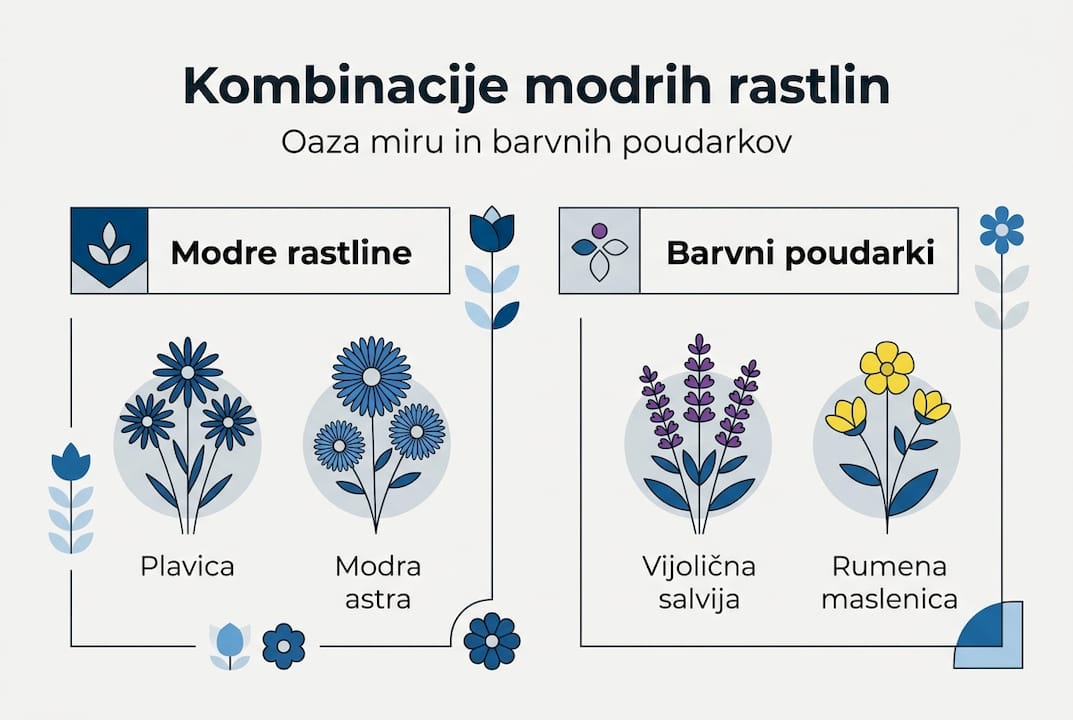 Na infografiki so predstavljene različne možnosti kombiniranja modrih rastlin.