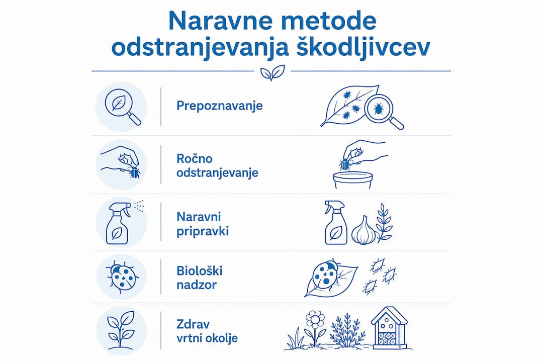 Pregled naravnih načinov za učinkovito obvladovanje škodljivcev v domu in na vrtu