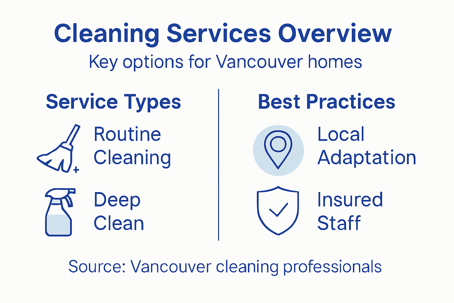 Infographic summarizing cleaning services and practices