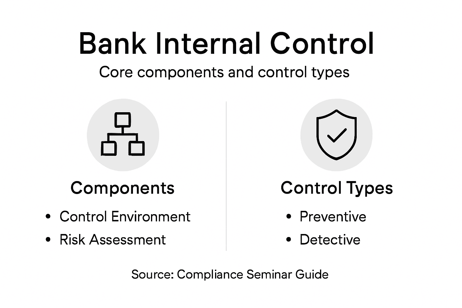 Infographic overview of internal control basics