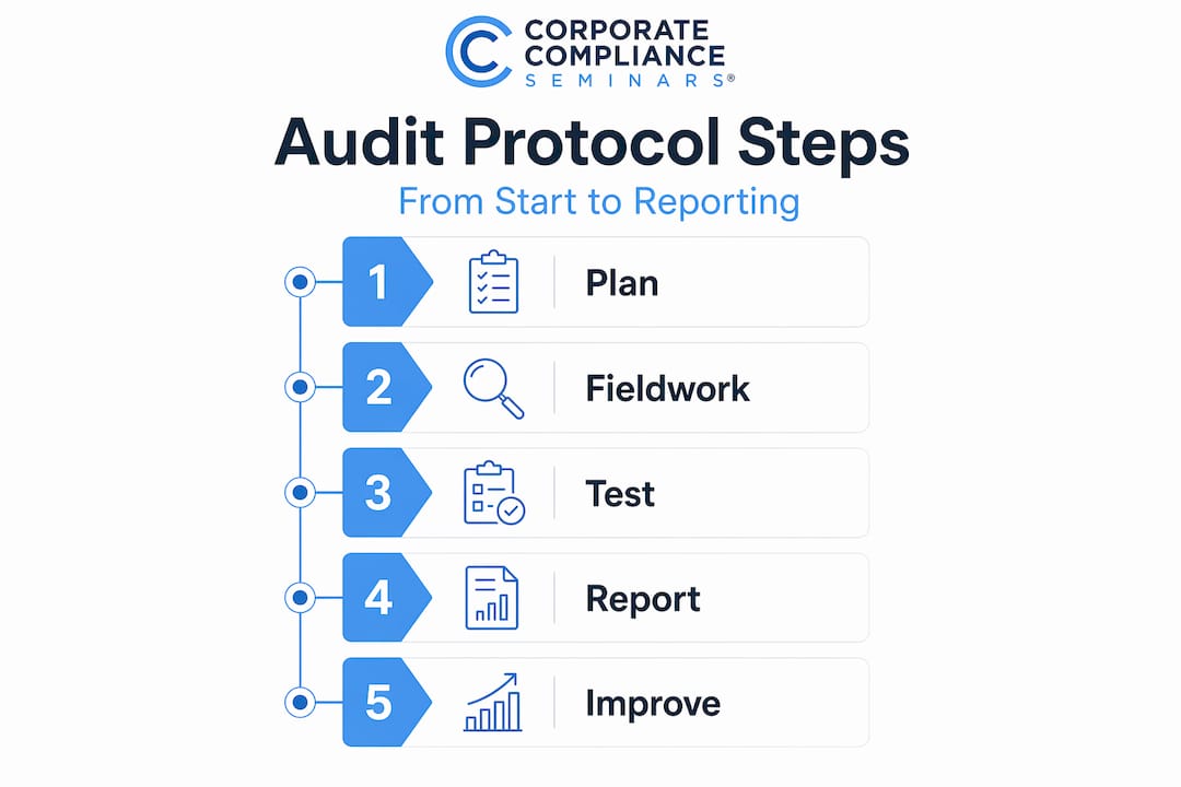 Infographic outlining audit protocol process flow