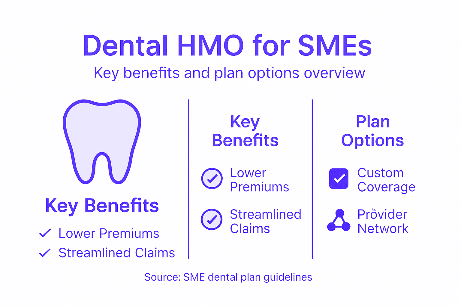 Infographic showing Dental HMO SME key benefits