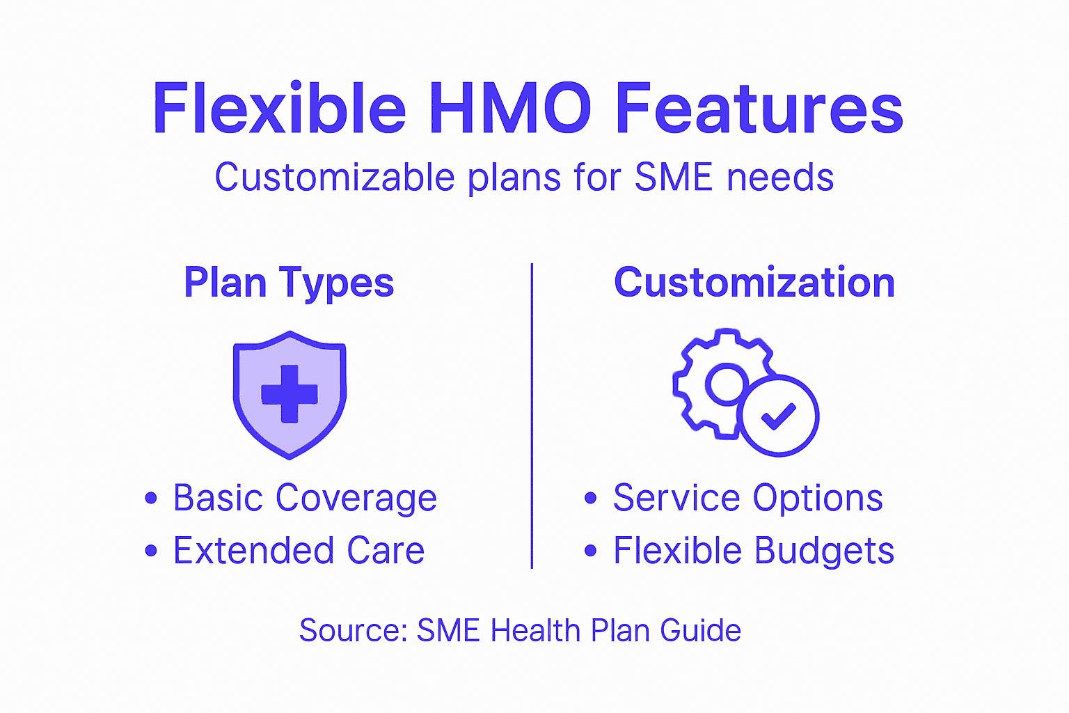 Infographic summarizing flexible HMO features